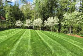 Lawn care