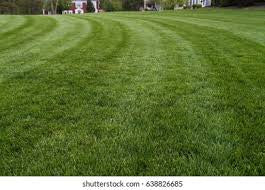 Lawn care